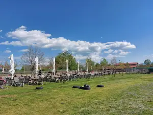Φιλόνεικος zoo park, ιππασία!