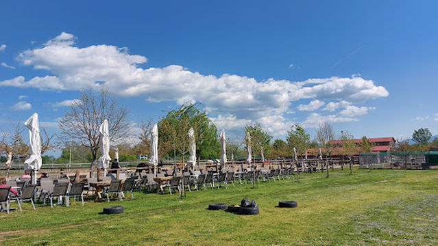 Φιλόνεικος zoo park, ιππασία!