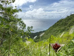 The Walkway To The Old Volcano and Stations of the Cross