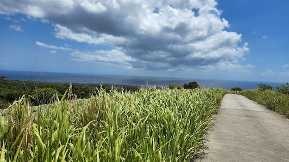 Mount Liamuiga Trailhead