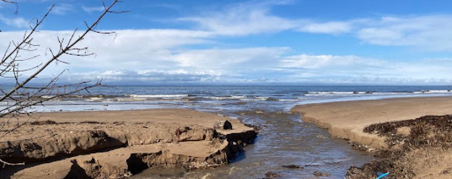 Longniddry Bents