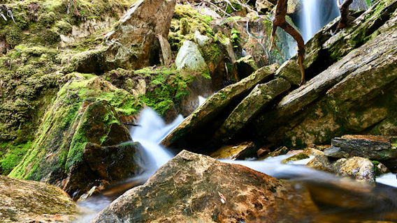 Cradle Mountain