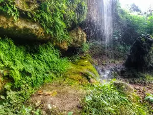 Fuente del Saz