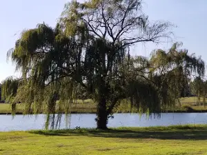 WillowBrook Golf Club