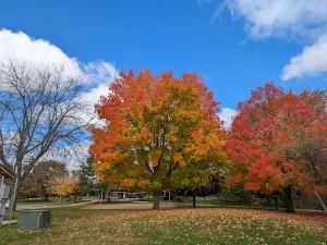 Riverbend Park