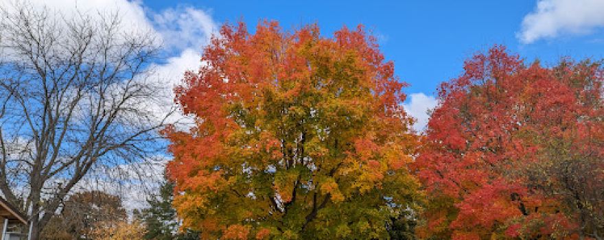 Riverbend Park
