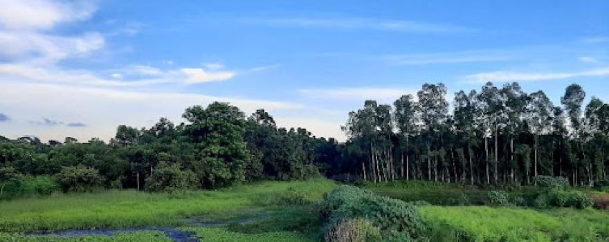 Nawabgonj Pilot High School Playground