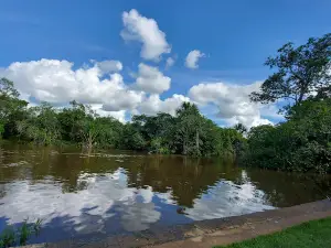 Porto das piranha Bahia