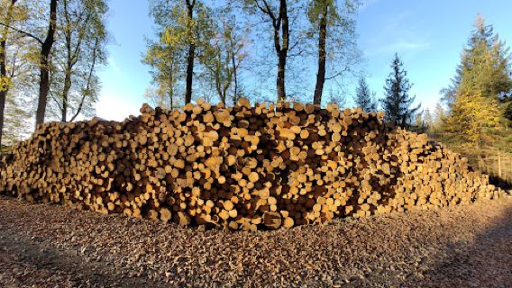 Campingplatz Wiggeshoff