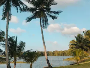 Bosque do Centenário