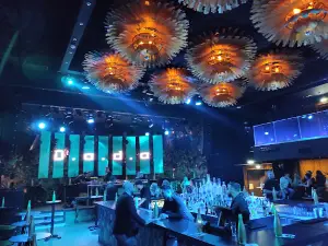 Dada Night Club