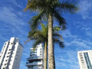 Praça Sesquicentenário