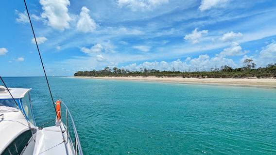 Blue Dolphin Marine Tours