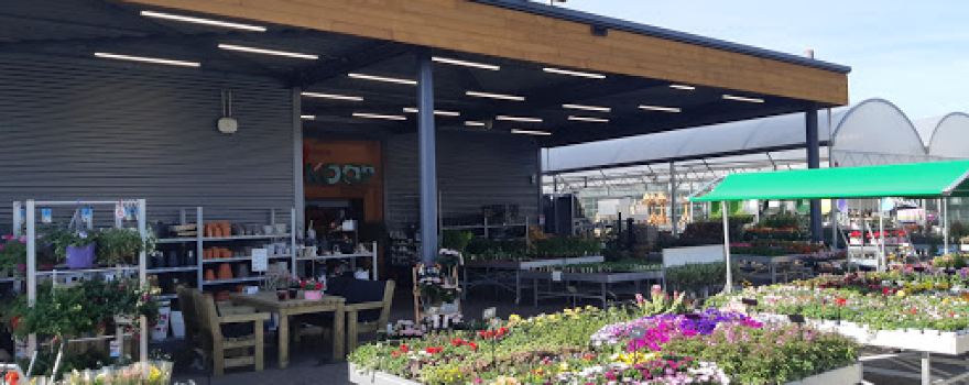 Welkoop Zaltbommel