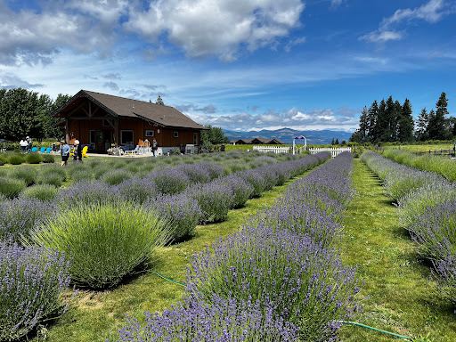 Stave & Stone Winery