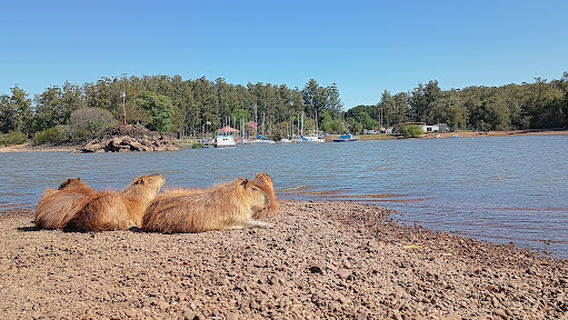Termas de Punta Viracho