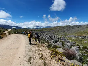 Bosque de Piedras Bambamarca