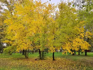 Park Energetikov