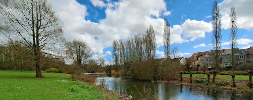 Koning Boudewijnpark Fase 2