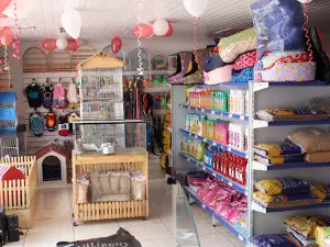 Pet Shop Santiago