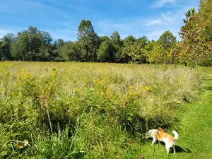 Cool Spring Preserve