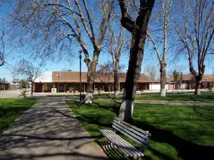 Plaza San Ignacio
