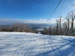 Okemo State Forest