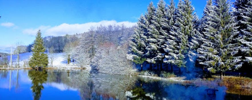 Camping pond Fléchat