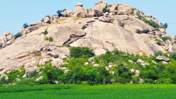 Shri Moni Siddh Baba Mandir Kerua