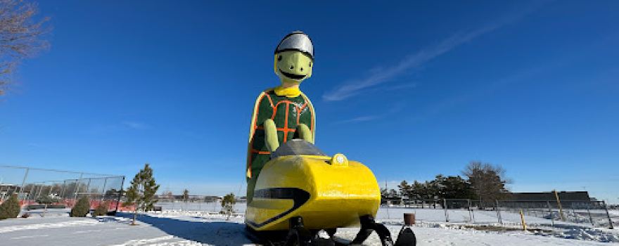 Tommy the Turtle