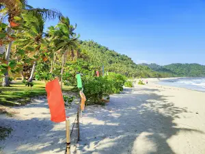 Pacific Sunrise Beach Camp
