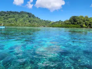 Simon’s Nature Reserve (Simon’s Bay)