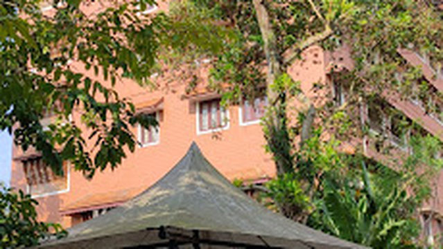 AQUATIC ASSOCIATION SWIMMING CLASS ALAPPUZHA