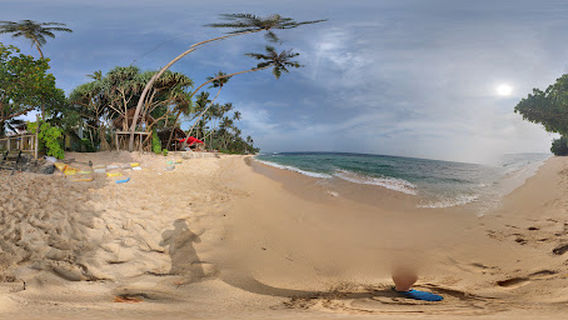 Rasta Rope Swing