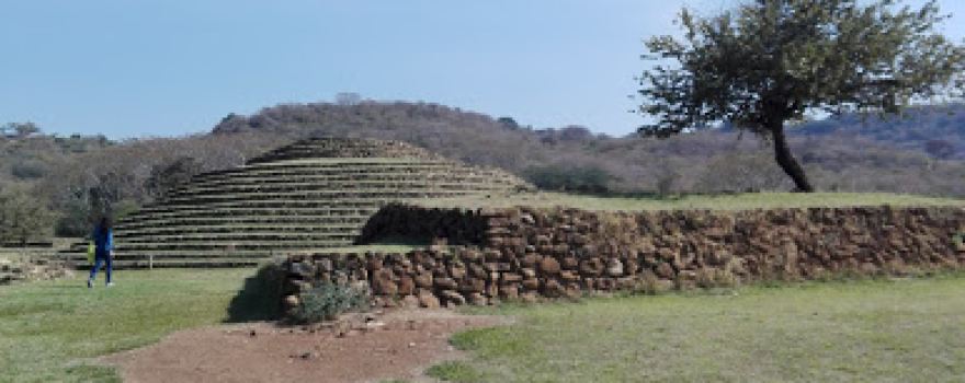 La Rana Artesana