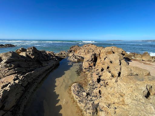 Chiton Rocks SLSC
