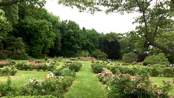 Pardee Rose Gardens