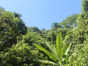Madhovkundo eco-park