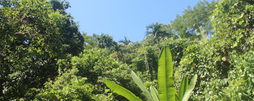 Madhovkundo eco-park