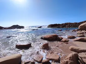 Timlaline tour guide