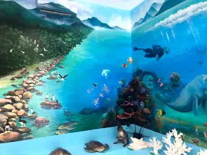 Côn Đảo National Park Tourist Office