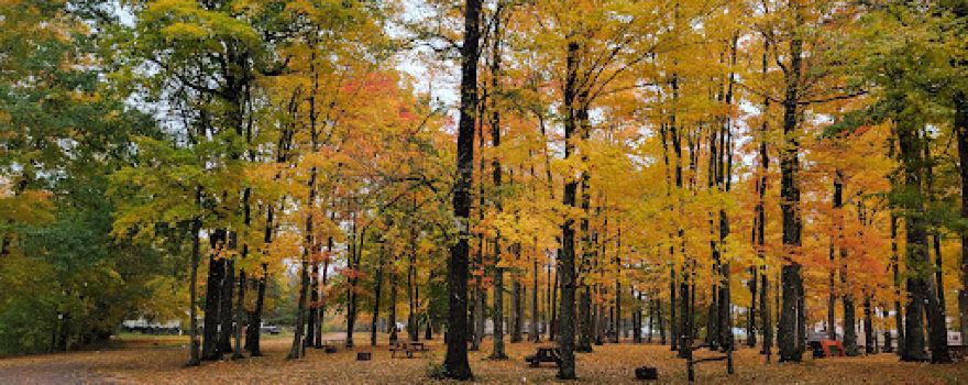 Chain O' Lakes Campground
