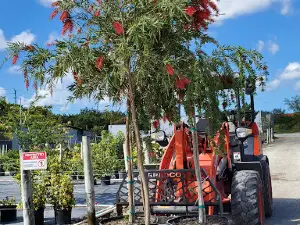Golden Gate Nursery & Sod