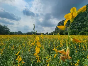 Siri Samai Field Khao Praputtabatnoi