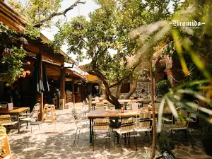Bramido Restaurante y Cantina - San José