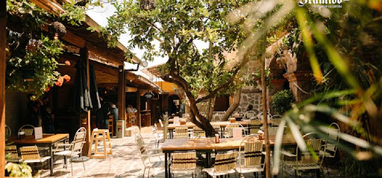 Bramido Restaurante y Cantina - San José