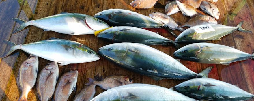 釣り堀 福寿丸