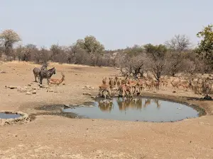 Northern Tuli Game Reserve