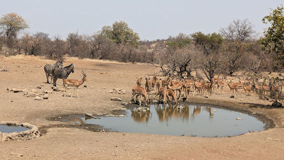 Northern Tuli Game Reserve