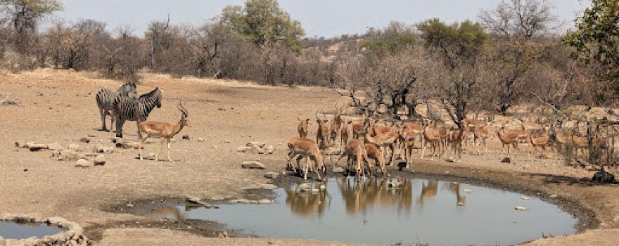 Northern Tuli Game Reserve